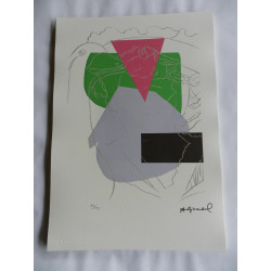 Andy Warhol Litografia cm 35x50 edizione 2010 con fotoautentica 