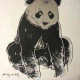 Andy Warhol Set de litografia 60x60 cm