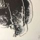 Andy Warhol Set de litografia 60x60 cm
