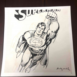 Andy Warhol Lithografie off set 50x50 cm gecertificeerd