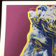 Litografia Andy Warhol off set 50x50 cm certificada