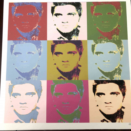 Andy Warhol Lithographie Offset 50x50 cm zertifiziert