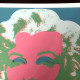 Andy Warhol Lithographie Offset 50x50 cm zertifiziert