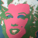 Andy Warhol Lithographie Offset 50x50 cm zertifiziert