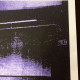 Andy Warhol Lithograph off set 50x50 cm certified