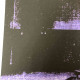 Andy Warhol Lithograph off set 50x50 cm certified