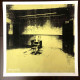 Andy Warhol Lithograph off set 50x50 cm certified
