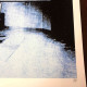 Andy Warhol Litografia offsetowa z certyfikatem 50x50 cm