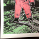Andy Warhol Lithograph off set 50x50 cm certified