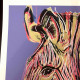 Litografia Andy Warhol off set 50x50 cm certificada