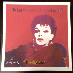 Andy Warhol Lithografie off set 50x50 cm gecertificeerd