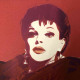 Andy Warhol Lithografie off set 50x50 cm gecertificeerd