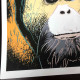 Andy Warhol Lithografie off set 50x50 cm gecertificeerd