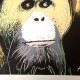Andy Warhol Lithografie off set 50x50 cm gecertificeerd