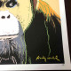 Andy Warhol Lithografie off set 50x50 cm gecertificeerd