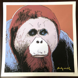 Andy Warhol Lithograph off set 50x50 cm certified