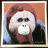 Andy Warhol Litografia offsetowa z certyfikatem 50x50 cm