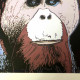Andy Warhol Lithograph off set 50x50 cm certified