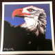 Set de litografia Andy Warhol 50x50 cm certificat