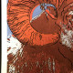 Andy Warhol Lithographie hors set 50x50 cm certifiée