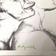 Andy Warhol Lithografie off set 50x50 cm gecertificeerd