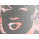 Andy Warhol Lithographie Off-Set-Edition 125 cm 35x50