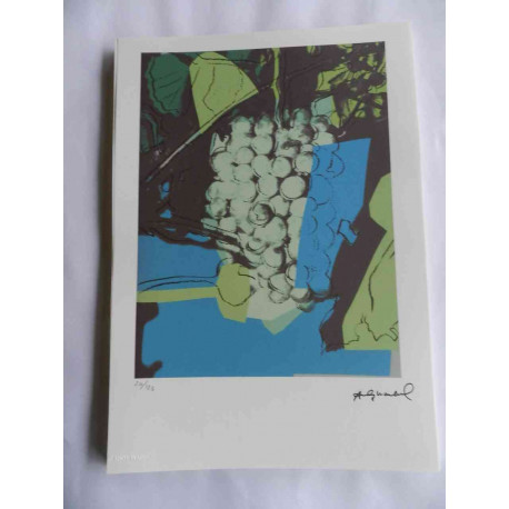 Andy Warhol Lithographie édition hors set 125 cm 35x50