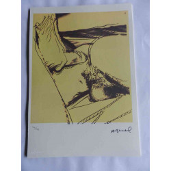 Andy Warhol Litografia off set edició 125 cm 35x50
