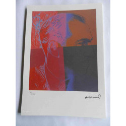 Andy Warhol Lithografie off-set editie 125 cm 35x50
