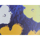 Andy Warhol Lithografie off-set editie 125 cm 35x50