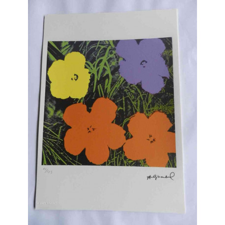 Andy Warhol Litografia edição off set 125 cm 35x50