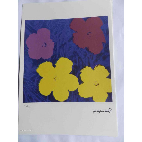 Andy Warhol Litografia edição off set 125 cm 35x50