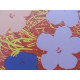 Andy Warhol Off set lithograph edition 125 cm 35x50