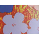 Andy Warhol Off set lithograph edition 125 cm 35x50