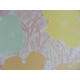 Andy Warhol Off set lithograph edition 125 cm 35x50