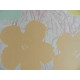 Andy Warhol Off set lithograph edition 125 cm 35x50