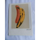 Andy Warhol Litografia off set edizione 125 cm 35x50