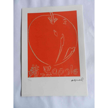 Andy Warhol Litografia off set edició 125 cm 35x50