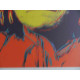 Andy Warhol Litografia off set edizioa 125 cm 35x50
