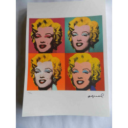Andy Warhol Lithographie édition hors set 125 cm 35x50