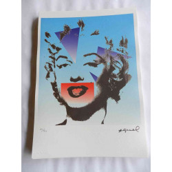 Andy Warhol Lithographie édition hors set 125 cm 35x50