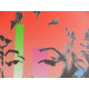 Andy Warhol Litografia off set editie 125 cm 35x50