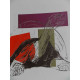 Andy Warhol Lithografie off-set editie 125 cm 35x50