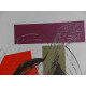 Andy Warhol Lithografie off-set editie 125 cm 35x50