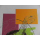 Andy Warhol Litografia off set edició 125 cm 35x50