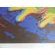 Andy Warhol Off set lithograph edition 125 cm 35x50
