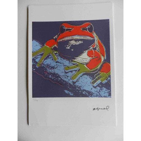 Andy Warhol Lithographie édition hors set 125 cm 35x50