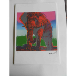 Andy Warhol Off set lithograph edition 125 cm 35x50
