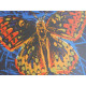 Andy Warhol Off set lithograph edition 125 cm 35x50