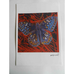 Andy Warhol Lithographie édition hors set 125 cm 35x50